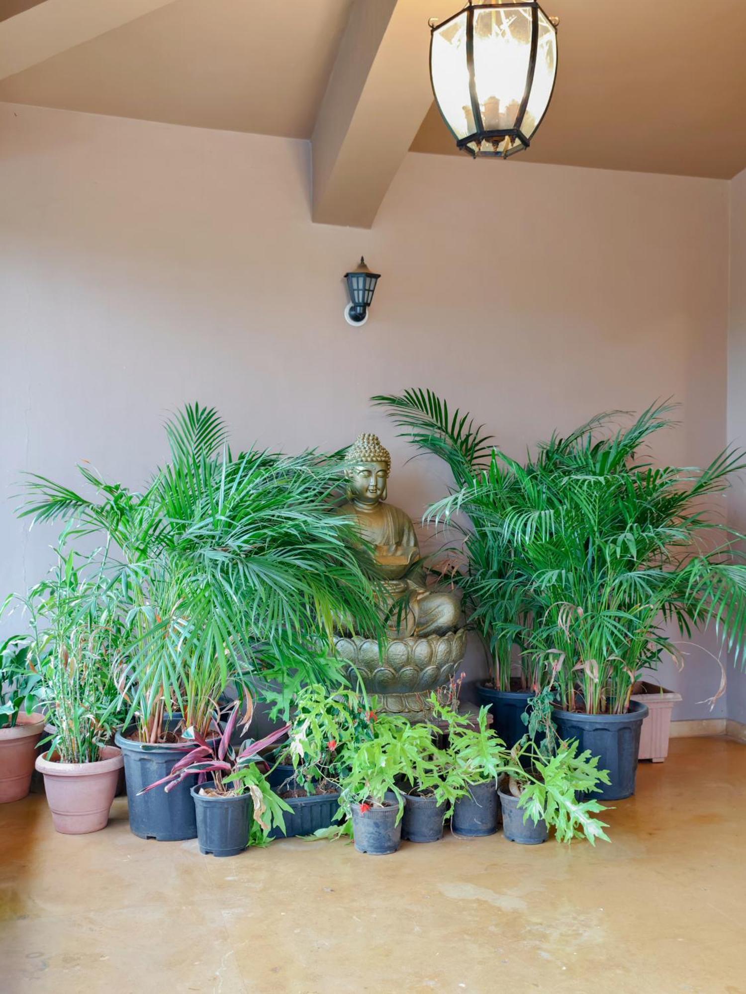 White Stallion Villa โลนาวาลา ภายนอก รูปภาพ